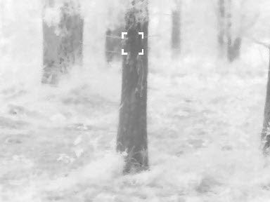 Pit Viper Thermal Rifle Scope