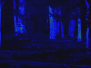 Pit Viper Thermal Rifle Scope