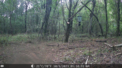 Sentinel Night Vision Trail Camera