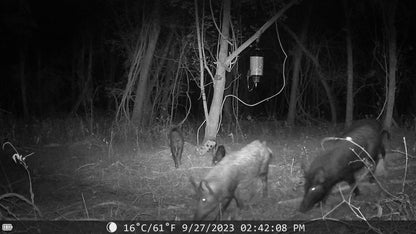 Sentinel Night Vision Trail Camera